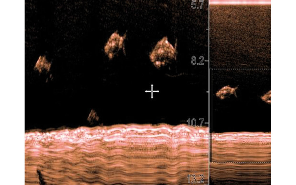 Seria Axiom - CHIRPsonar Seria Axiom - CHIRP sonar